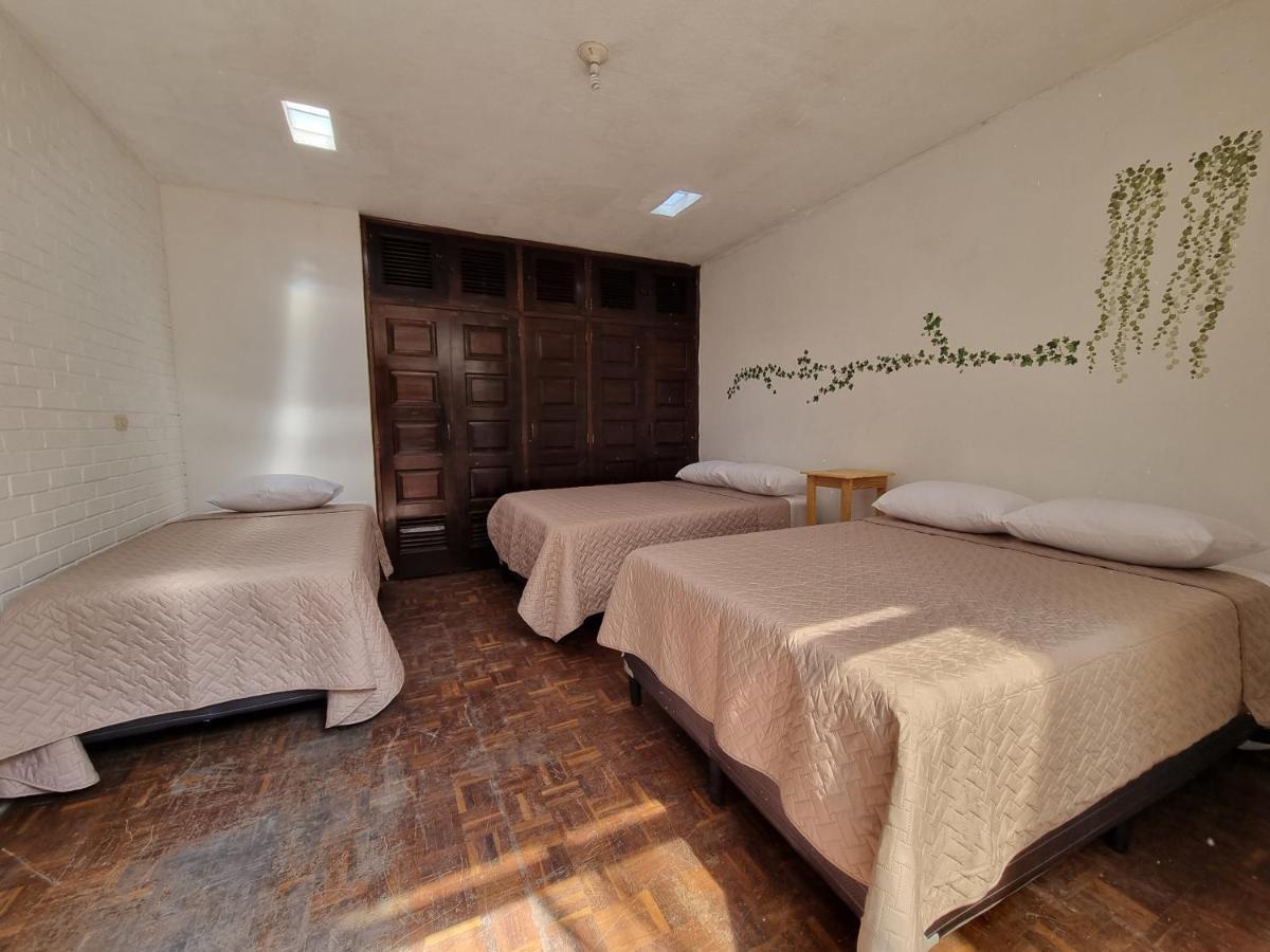 Central 10 Boutique Hostel Ville de Guatemala Extérieur photo